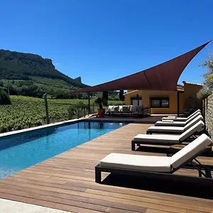 Côté Vignes Cassis